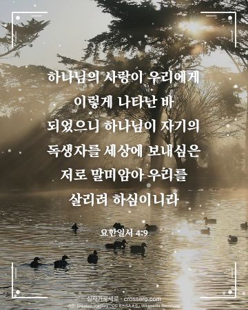 요한일서 4:9 말씀 카드 - 하나님의 사랑이 우리에게 이렇게 나타난 바 되었으니 하나님이 … (성탄 말씀 카드, 빛내림 사진)