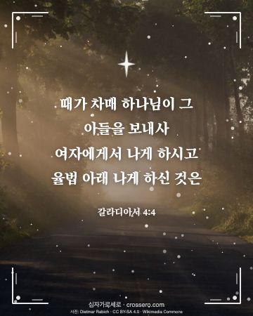 갈라디아서 4:4 말씀 카드 - 때가 차매 하나님이 그 아들을 보내사 여자에게서 나게 하시고 … (성탄 말씀 카드, 빛내림 사진)