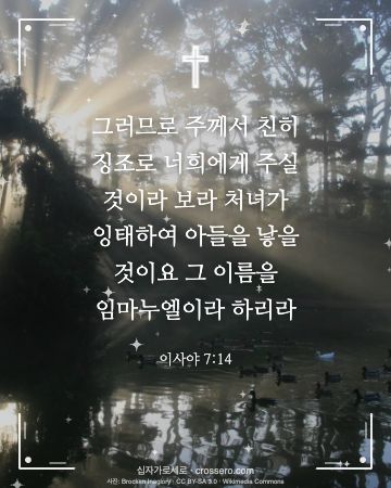 이사야 7:14 말씀 카드 - 그러므로 주께서 친히 징조로 너희에게 주실 것이라 보라 처녀가… (성탄 말씀 카드, 빛내림 사진)