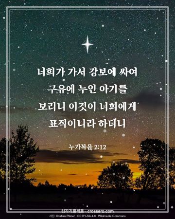 누가복음 2:12 말씀 카드 - 너희가 가서 강보에 싸여 구유에 누인 아기를 보리니 이것이 너… (성탄 말씀 카드, 밤하늘 사진)