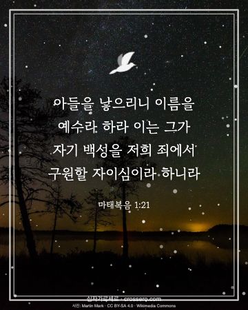 마태복음 1:21 말씀 카드 - 아들을 낳으리니 이름을 예수라 하라 이는 그가 자기 백성을 저… (성탄 말씀 카드, 밤하늘 사진)