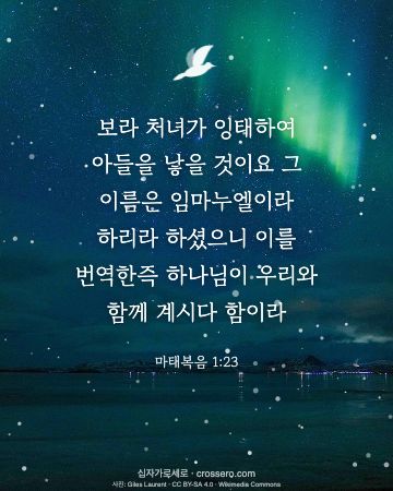 마태복음 1:23 말씀 카드 - 보라 처녀가 잉태하여 아들을 낳을 것이요 그 이름은 임마누엘이… (성탄 말씀 카드, 밤하늘 사진)