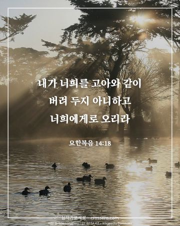 요한복음 14:18 말씀 카드 - 내가 너희를 고아와 같이 버려 두지 아니하고 너희에게로 오리라… (위로의 말씀 카드, 빛내림 사진)