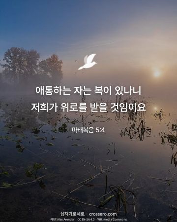 마태복음 5:4 말씀 카드 - 애통하는 자는 복이 있나니 저희가 위로를 받을 것임이요… (위로의 말씀 카드, 호수 사진)