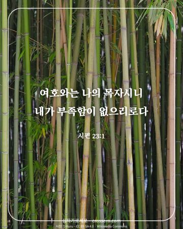 위로의 말씀 카드 대표 이미지 - 시편 23:1