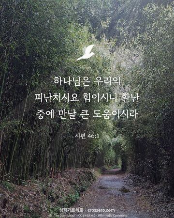 시편 46:1 말씀 카드 - 하나님은 우리의 피난처시요 힘이시니 환난 중에 만날 큰 도움이… (위로의 말씀 카드, 숲 사진)