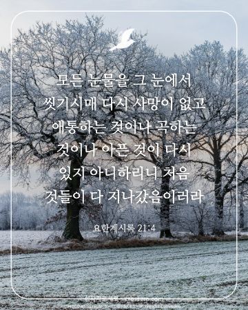 요한계시록 21:4 말씀 카드 - 모든 눈물을 그 눈에서 씻기시매 다시 사망이 없고 애통하는 것… (위로의 말씀 카드, 숲 사진)