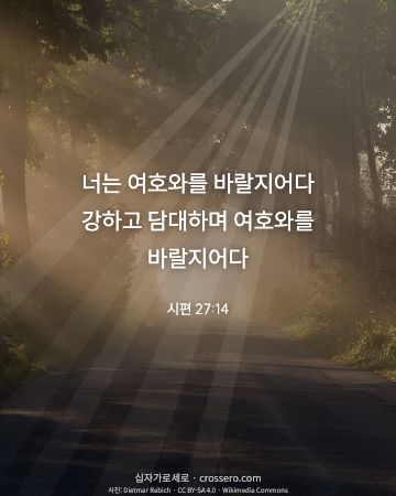 시편 27:14 말씀 카드 - 너는 여호와를 바랄지어다 강하고 담대하며 여호와를 바랄지어다… (용기의 말씀 카드, 빛내림 사진)