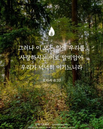 로마서 8:37 말씀 카드 - 그러나 이 모든 일에 우리를 사랑하시는 이로 말미암아 우리가 … (용기의 말씀 카드, 빛내림 사진)