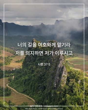 시편 37:5 말씀 카드 - 너의 길을 여호와께 맡기라 저를 의지하면 저가 이루시고… (믿음의 말씀 카드, 산 사진)