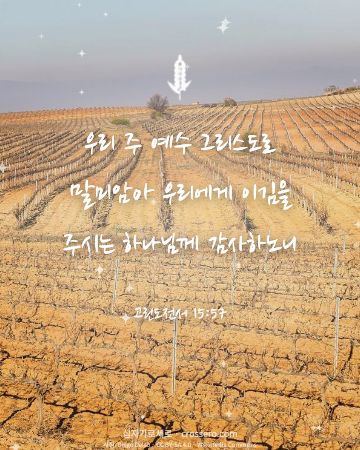 고린도전서 15:57 말씀 카드 - 우리 주 예수 그리스도로 말미암아 우리에게 이김을 주시는 하나… (감사의 말씀 카드, 포도원·곡식 사진)