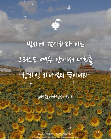 데살로니가전서 5:18 말씀 카드 - 범사에 감사하라 이는 그리스도 예수 안에서 너희를 향하신 하나… (감사의 말씀 카드, 들판 사진)