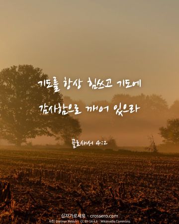 골로새서 4:2 말씀 카드 - 기도를 항상 힘쓰고 기도에 감사함으로 깨어 있으라… (감사의 말씀 카드, 일출·노을 사진)