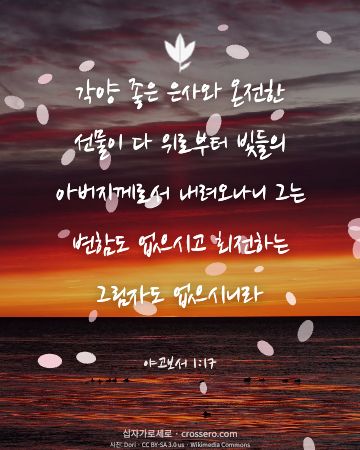 야고보서 1:17 말씀 카드 - 각양 좋은 은사와 온전한 선물이 다 위로부터 빛들의 아버지께로… (감사의 말씀 카드, 일출·노을 사진)