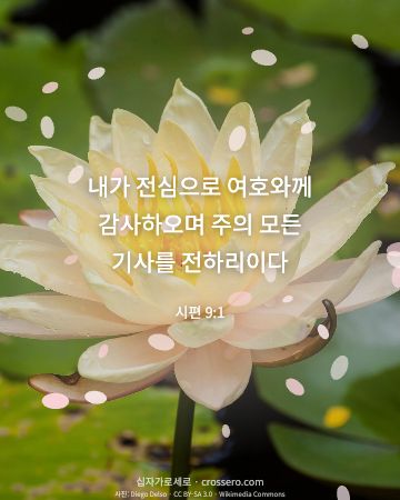 시편 9:1 말씀 카드 - 내가 전심으로 여호와께 감사하오며 주의 모든 기사를 전하리이다… (감사의 말씀 카드, 꽃 사진)