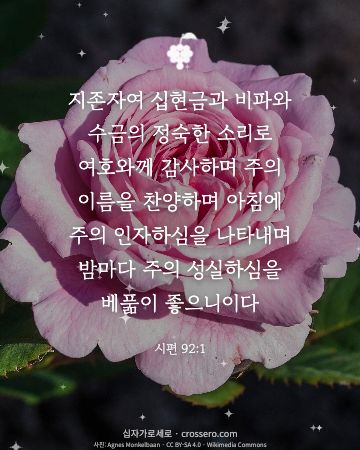 시편 92:1 말씀 카드 - 지존자여 십현금과 비파와 수금의 정숙한 소리로 여호와께 감사하… (감사의 말씀 카드, 꽃 사진)