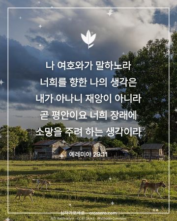 예레미야 29:11 말씀 카드 - 나 여호와가 말하노라 너희를 향한 나의 생각은 내가 아나니 재… (소망의 말씀 카드, 들판 사진)