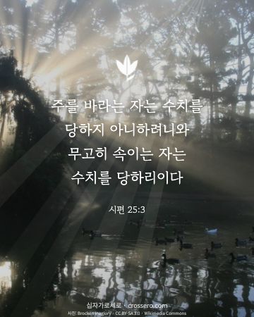시편 25:3 말씀 카드 - 주를 바라는 자는 수치를 당하지 아니하려니와 무고히 속이는 자… (소망의 말씀 카드, 빛내림 사진)