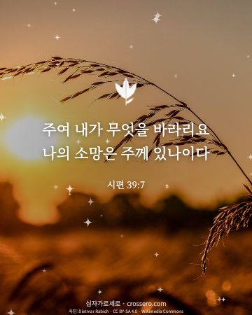 시편 39:7 말씀 카드 - 주여 내가 무엇을 바라리요 나의 소망은 주께 있나이다… (소망의 말씀 카드, 일출·노을 사진)