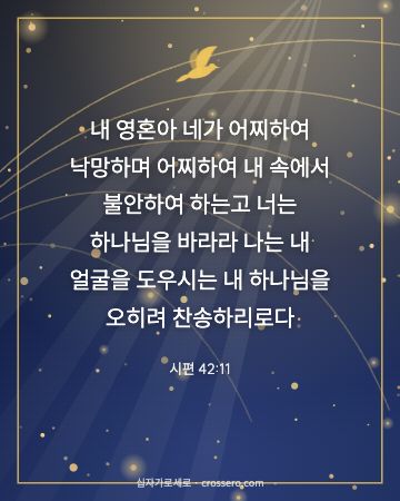시편 42:11 말씀 카드 - 내 영혼아 네가 어찌하여 낙망하며 어찌하여 내 속에서 불안하여… (소망의 말씀 카드, 별빛과 금빛 배경)