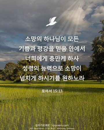 소망의 말씀 카드 대표 이미지 - 로마서 15:13