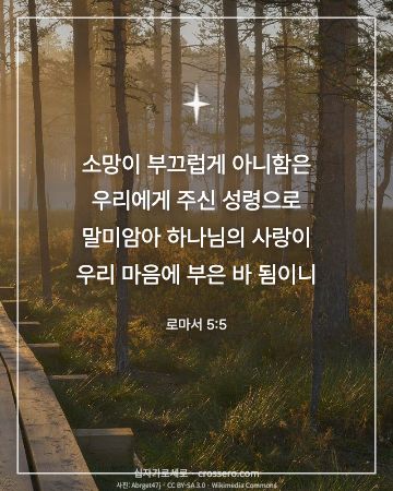 로마서 5:5 말씀 카드 - 소망이 부끄럽게 아니함은 우리에게 주신 성령으로 말미암아 하나… (소망의 말씀 카드, 일출·노을 사진)