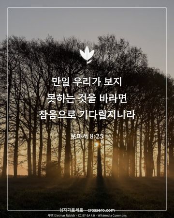로마서 8:25 말씀 카드 - 만일 우리가 보지 못하는 것을 바라면 참음으로 기다릴지니라… (소망의 말씀 카드, 일출·노을 사진)