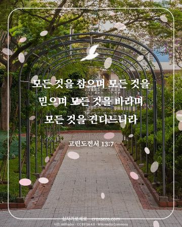 고린도전서 13:7 말씀 카드 - 모든 것을 참으며 모든 것을 믿으며 모든 것을 바라며 모든 것… (사랑의 말씀 카드, 꽃 사진)