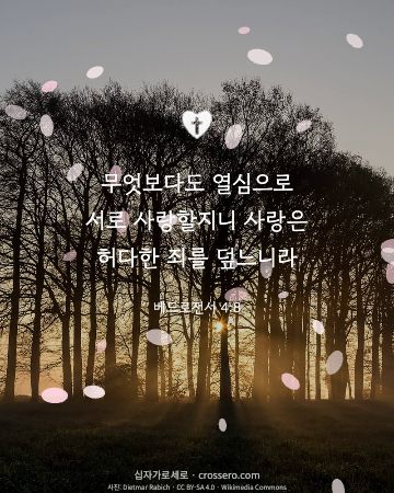 베드로전서 4:8 말씀 카드 - 무엇보다도 열심으로 서로 사랑할지니 사랑은 허다한 죄를 덮느니… (사랑의 말씀 카드, 일출·노을 사진)