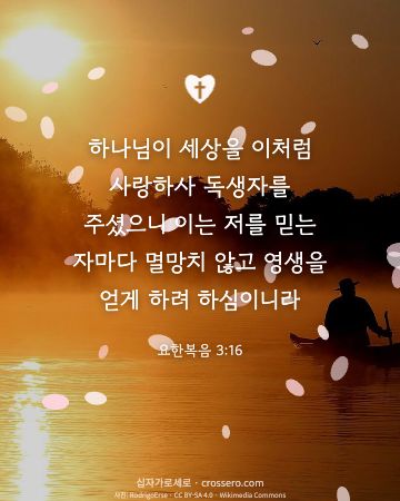 사랑의 말씀 카드 대표 이미지 - 요한복음 3:16
