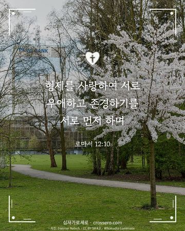 로마서 12:10 말씀 카드 - 형제를 사랑하여 서로 우애하고 존경하기를 서로 먼저 하며… (사랑의 말씀 카드, 꽃 사진)