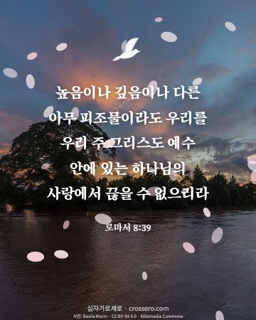로마서 8:39 말씀 카드 - 높음이나 깊음이나 다른 아무 피조물이라도 우리를 우리 주 그리… (사랑의 말씀 카드, 일출·노을 사진)