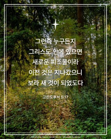 고린도후서 5:17 말씀 카드 - 그런즉 누구든지 그리스도 안에 있으면 새로운 피조물이라 이전 … (새해 말씀 카드, 빛내림 사진)