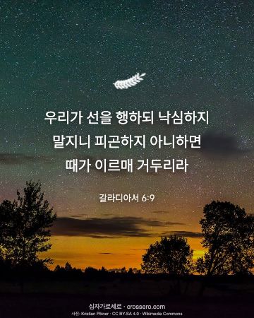 갈라디아서 6:9 말씀 카드 - 우리가 선을 행하되 낙심하지 말지니 피곤하지 아니하면 때가 이… (새해 말씀 카드, 밤하늘 사진)