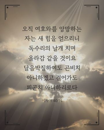 이사야 40:31 말씀 카드 - 오직 여호와를 앙망하는 자는 새 힘을 얻으리니 독수리의 날개 … (새해 말씀 카드, 빛내림 사진)