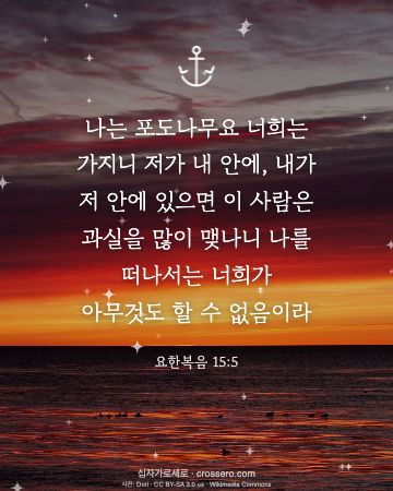 요한복음 15:5 말씀 카드 - 나는 포도나무요 너희는 가지니 저가 내 안에, 내가 저 안에 … (새해 말씀 카드, 일출·노을 사진)
