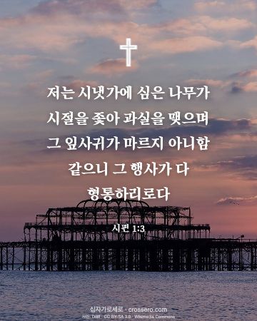 시편 1:3 말씀 카드 - 저는 시냇가에 심은 나무가 시절을 좇아 과실을 맺으며 그 잎사… (새해 말씀 카드, 일출·노을 사진)