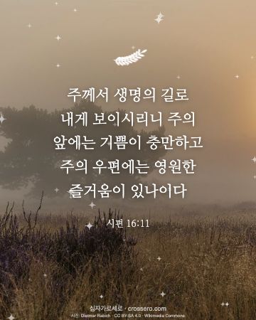 시편 16:11 말씀 카드 - 주께서 생명의 길로 내게 보이시리니 주의 앞에는 기쁨이 충만하… (새해 말씀 카드, 일출·노을 사진)