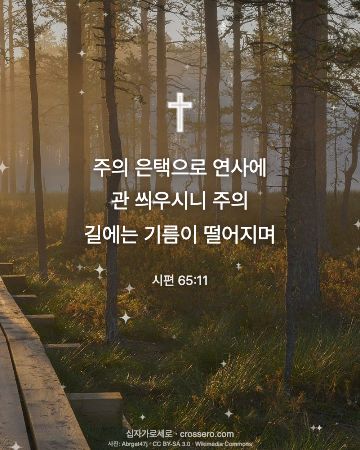 시편 65:11 말씀 카드 - 주의 은택으로 연사에 관 씌우시니 주의 길에는 기름이 떨어지며… (새해 말씀 카드, 일출·노을 사진)
