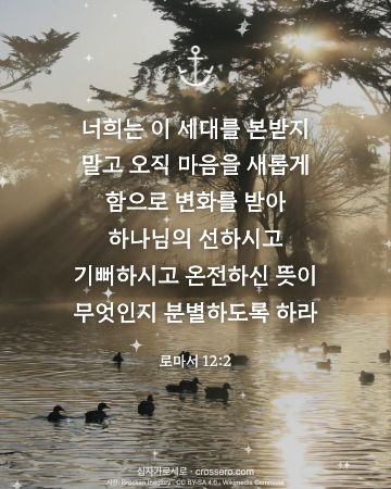 로마서 12:2 말씀 카드 - 너희는 이 세대를 본받지 말고 오직 마음을 새롭게 함으로 변화… (새해 말씀 카드, 빛내림 사진)