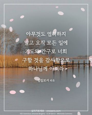 평안의 말씀 카드 대표 이미지 - 빌립보서 4:6