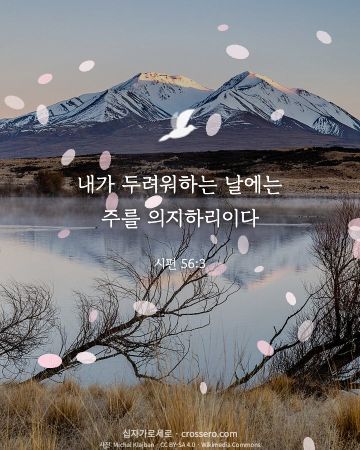 시편 56:3 말씀 카드 - 내가 두려워하는 날에는 주를 의지하리이다… (평안의 말씀 카드, 호수 사진)