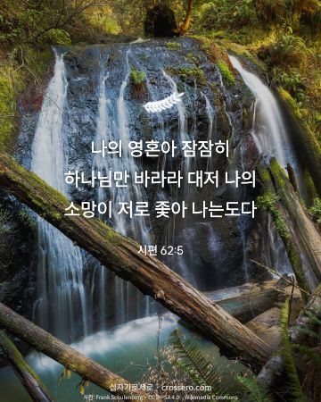 시편 62:5 말씀 카드 - 나의 영혼아 잠잠히 하나님만 바라라 대저 나의 소망이 저로 좇… (평안의 말씀 카드, 물 사진)