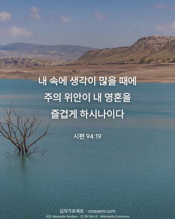 시편 94:19 말씀 카드 - 내 속에 생각이 많을 때에 주의 위안이 내 영혼을 즐겁게 하시… (평안의 말씀 카드, 물 사진)