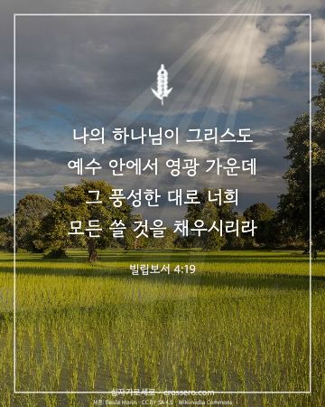 빌립보서 4:19 말씀 카드 - 나의 하나님이 그리스도 예수 안에서 영광 가운데 그 풍성한 대… (추수감사 말씀 카드, 들판 사진)