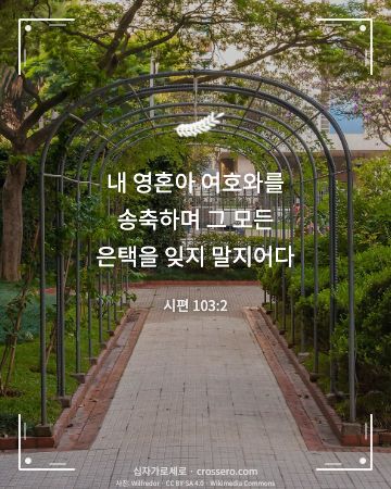 시편 103:2 말씀 카드 - 내 영혼아 여호와를 송축하며 그 모든 은택을 잊지 말지어다… (추수감사 말씀 카드, 꽃 사진)
