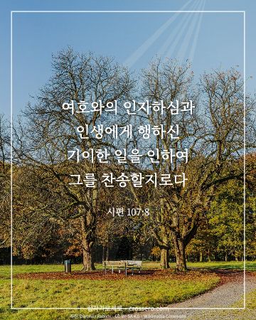 시편 107:8 말씀 카드 - 여호와의 인자하심과 인생에게 행하신 기이한 일을 인하여 그를 … (추수감사 말씀 카드, 가을 사진)