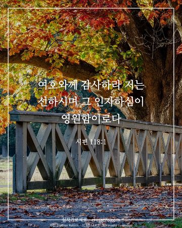 시편 118:1 말씀 카드 - 여호와께 감사하라 저는 선하시며 그 인자하심이 영원함이로다… (추수감사 말씀 카드, 가을 사진)