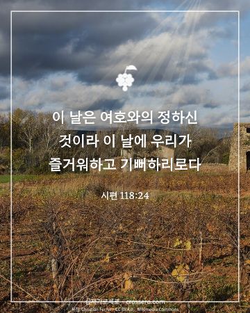 시편 118:24 말씀 카드 - 이 날은 여호와의 정하신 것이라 이 날에 우리가 즐거워하고 기… (추수감사 말씀 카드, 포도원·곡식 사진)