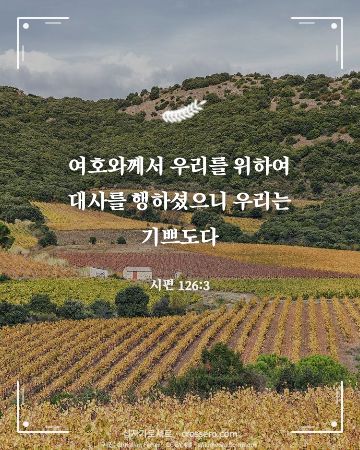 시편 126:3 말씀 카드 - 여호와께서 우리를 위하여 대사를 행하셨으니 우리는 기쁘도다… (추수감사 말씀 카드, 포도원·곡식 사진)